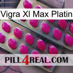 Vigra Xl Max Platinum 10